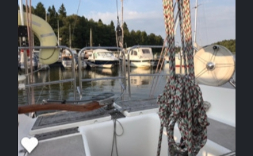 Finngulf Seaking-kuva-2